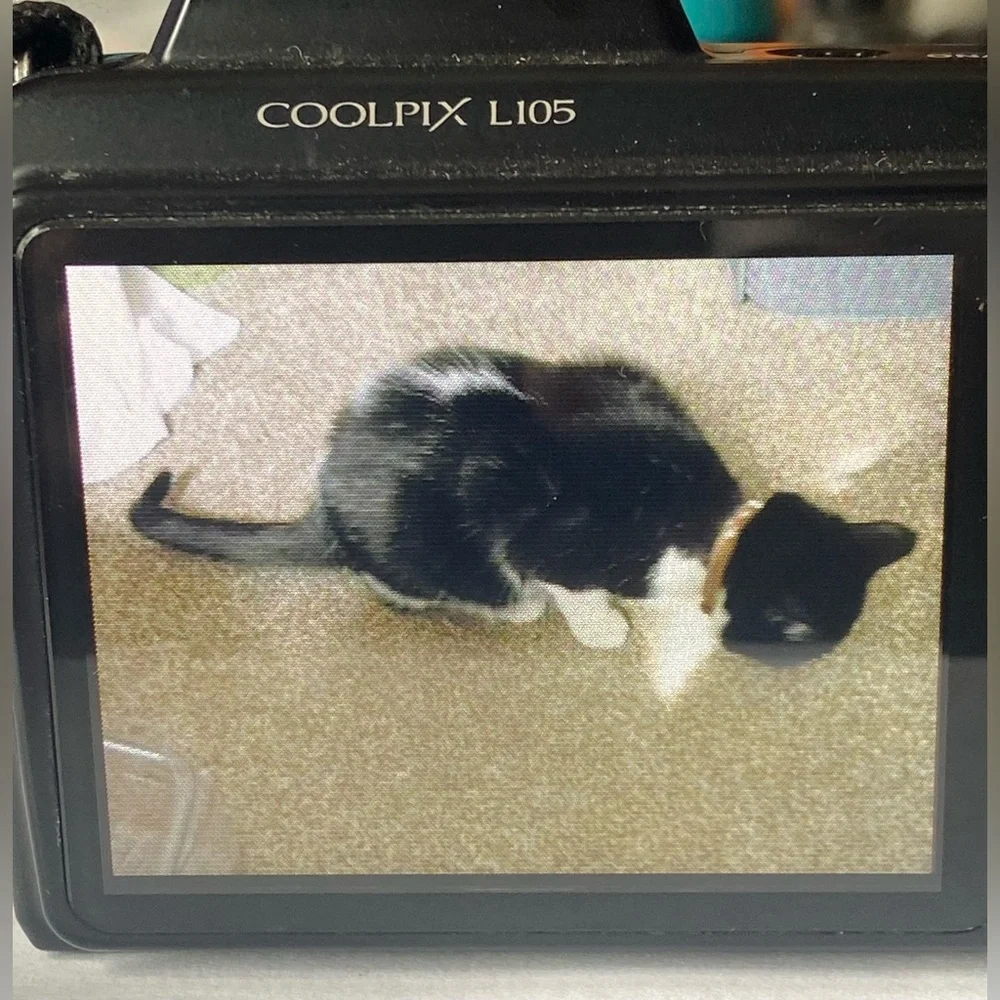 Nikon Coolpix L105 Digital Camera Black - Tested & Working